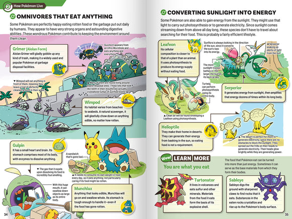 Pokecology: An Illustrated Guide to Pokemon Ecology