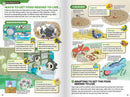 Pokecology: An Illustrated Guide to Pokemon Ecology-4