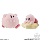 Kirby PuPuPu Flocky Doll - Chosen at Random-4