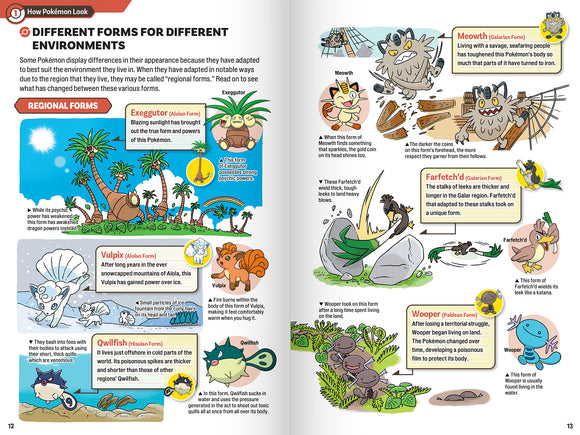 Pokecology: An Illustrated Guide to Pokemon Ecology