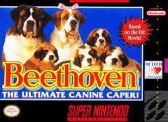 Red Fox Gaming - Hickory - Beethoven - Video Game - Super Nintendo