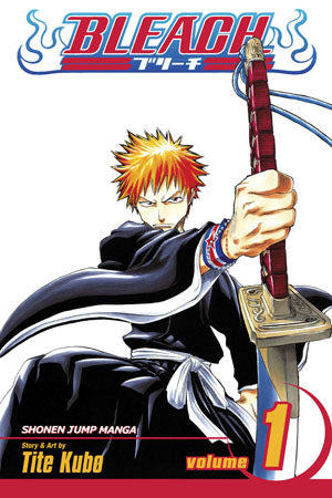 Bleach Volume 1