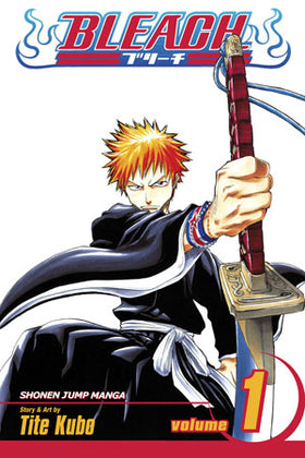 Bleach Volume 1