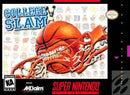 Red Fox Gaming - Hickory - College Slam - Video Game - Super Nintendo