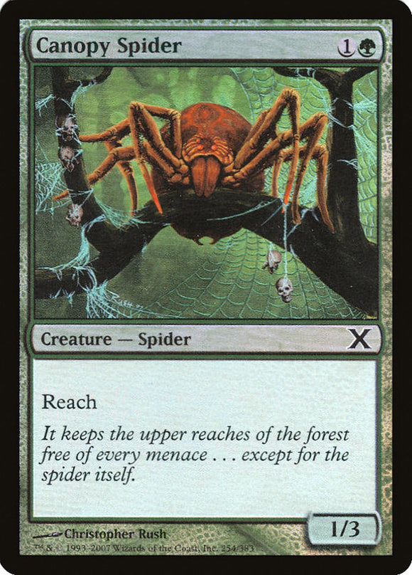 Canopy Spider (Premium Foil) [Tenth Edition]