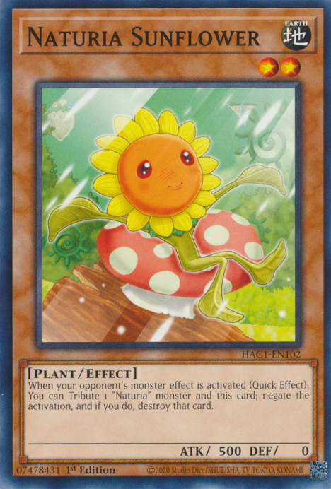 Girasol Naturia [HAC1-EN102] Común 