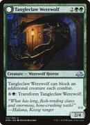 Tangleclaw Werewolf // Fibrous Entangler [Eldritch Moon]-1