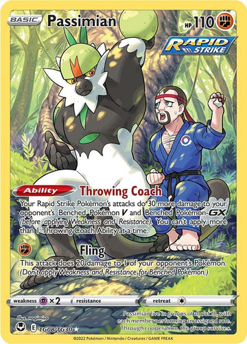 Passimian (TG08/TG30) [Espada y escudo: Tempestad de plata] 