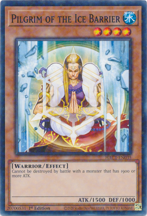 Peregrino de la barrera de hielo (Terminal de duelo) [HAC1-EN035] Común 
