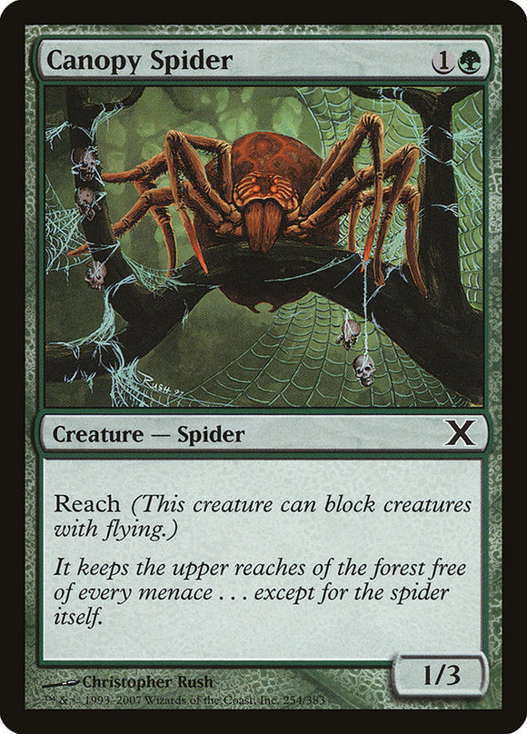 Araña de dosel [Décima edición] 