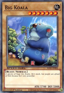 Koala grande [SGX1-ENI02] Común 