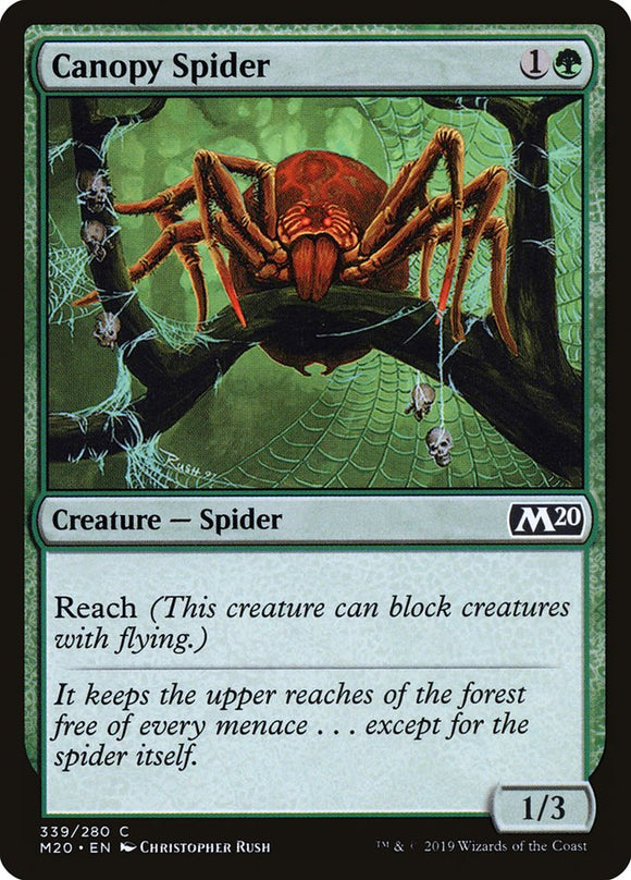 Araña de dosel [Caja básica 2020] 
