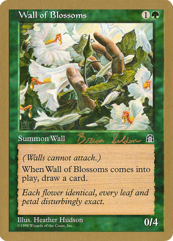 Muro de flores (Brian Selden) [Campeonato Mundial de Barajas 1998] 