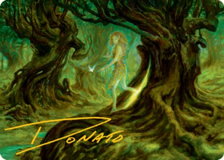 Tarjeta de arte de la dríada de Neverwinter (firma estampada en dorado) [Serie de arte de Dungeons &amp; Dragons: Adventures in the Forgotten Realms] 