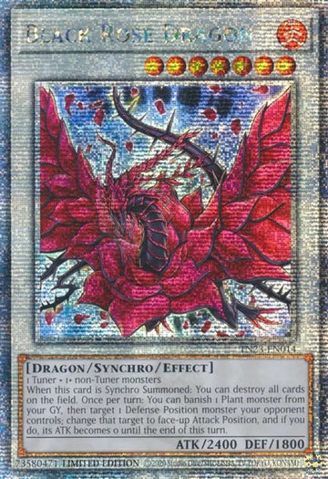 Dragón de la Rosa Negra [TN23-EN014] Secreto de cuarto de siglo 