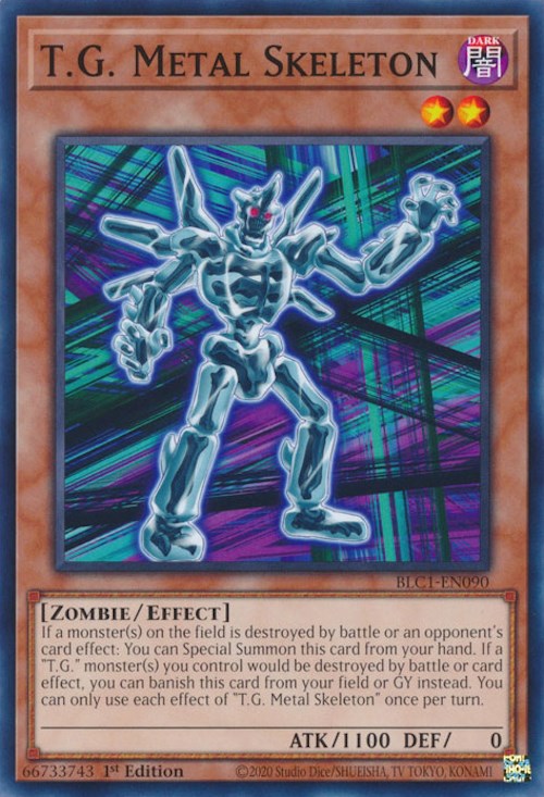 Esqueleto de metal TG [BLC1-EN090] Común 