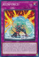 REINFORCE! [MP24-EN354] Common-4