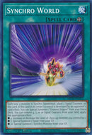 Synchro World [MP24-EN372] Common-4