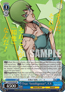 True "Intelligence", F.F. (JJ/SE42-E45J JJR) [JoJo's Bizarre Adventure: Golden Wind]-1
