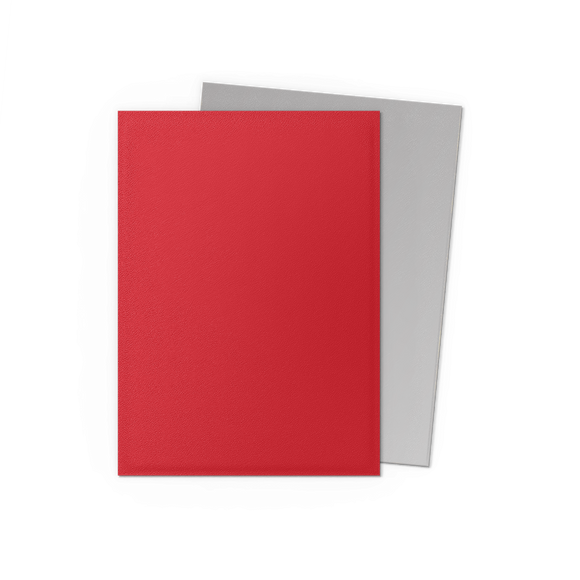 Dragon Shield: Standard 100ct Sleeves - Crimson & Silver (Dual Matte)