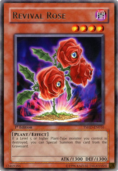 Rosa de renacimiento [TSHD-EN016] Rara 