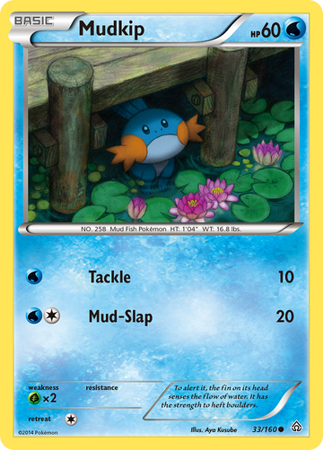 Mudkip (33/160) [XY: Choque primigenio] 