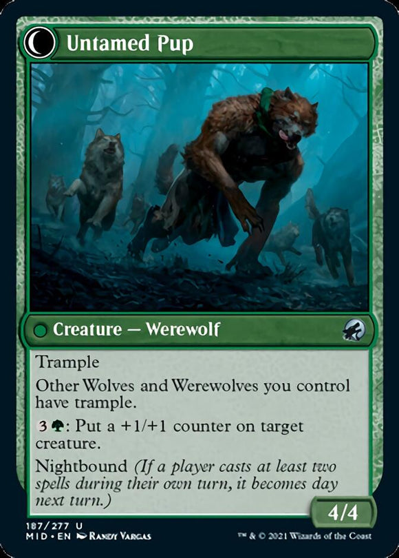Domador de perros // Cachorro indómito [Innistrad: Midnight Hunt] 