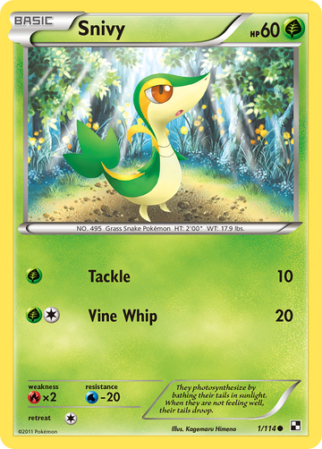 Snivy (1/114) (Cosmos Holo) [Blanco y negro: conjunto básico] 