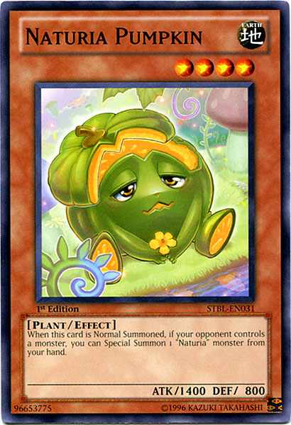 Calabaza Naturia [STBL-EN031] Común 