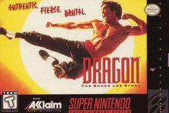 Red Fox Gaming - Hickory - Dragon: The Bruce Lee Story - Video Game - Super Nintendo