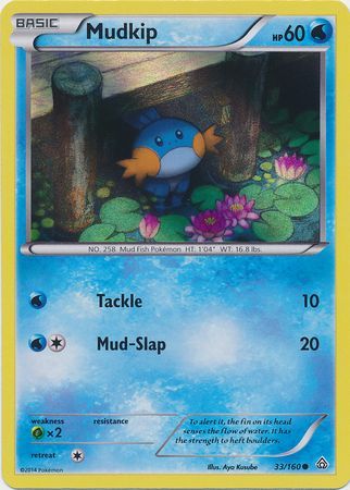 Mudkip (33/160) (holográfico de brillo) [XY: Choque primigenio] 