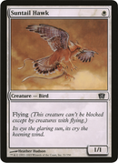 Suntail Hawk (Oversized) [Eighth Edition Box Topper]-1