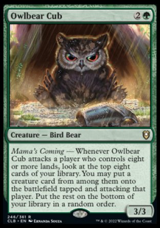 Cachorro de oso búho [Commander Legends: Battle for Baldur's Gate] 