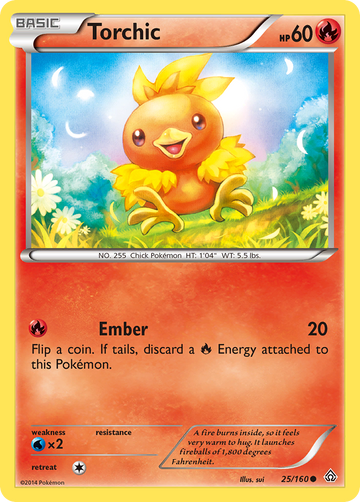 Torchic (25/160) [XY: Choque primigenio] 