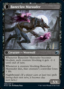 Baneblade Scoundrel // Baneclaw Marauder [Innistrad: Midnight Hunt]-2