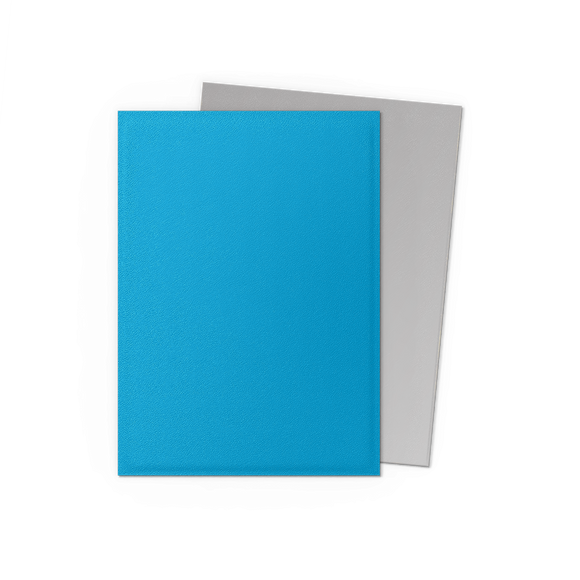 Dragon Shield: Standard 100ct Sleeves - Sky Blue & Silver (Dual Matte)