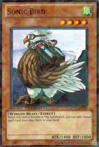 Pájaro sónico [DT05-EN052] Común 