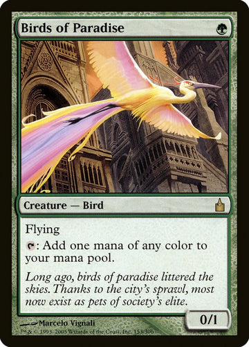 Aves del paraíso [Ravnica: Ciudad de los Gremios] 
