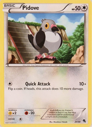 Pidove (21/30) [Blanco y negro: Kit de entrenamiento - Zoroark] 