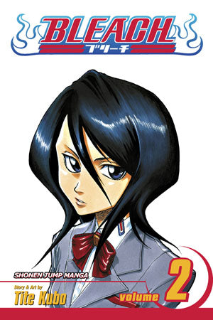 Bleach Volume 2