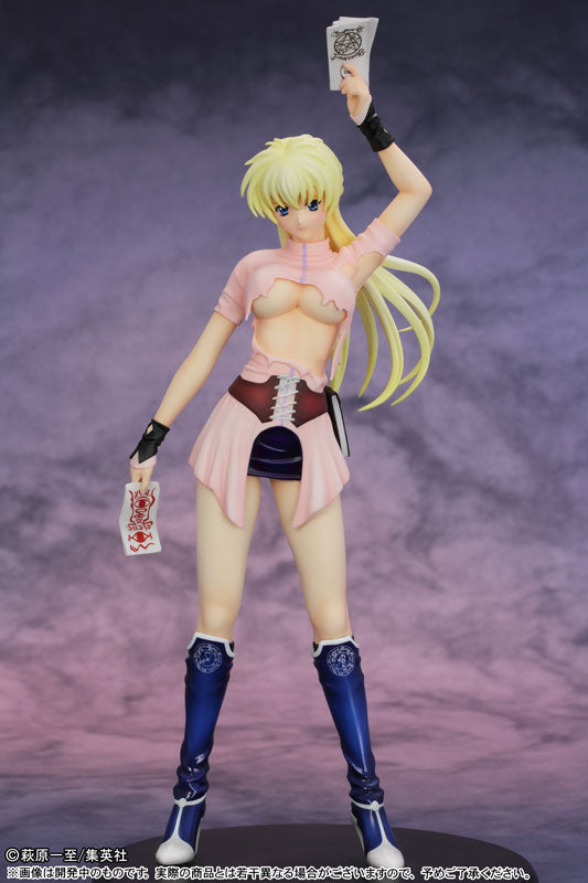 Bastard!! -Heavy Metal, Dark Fantasy- Sean Ari 1/7 Figure