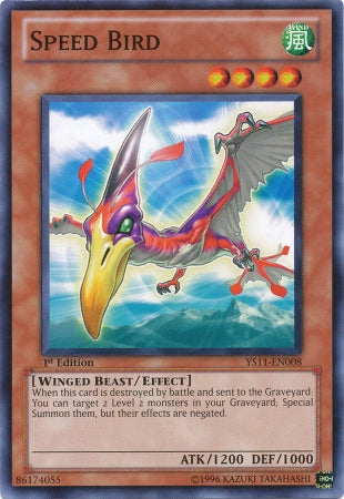 Pájaro veloz [YS11-EN008] Común 