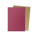 Dragon Shield: Standard 100ct Special Edition - Red Gold-3