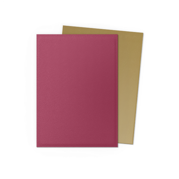 Dragon Shield: Standard 100ct Special Edition - Red Gold