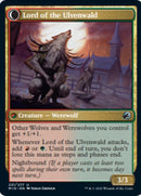 Kessig Naturalist // Lord of the Ulvenwald [Innistrad: Midnight Hunt]-2