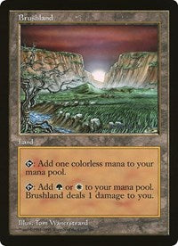Brushland (de gran tamaño) [Tarjetas de gran tamaño] 