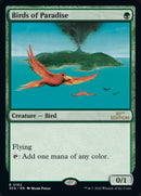 Birds of Paradise [30th Anniversary Edition]-1
