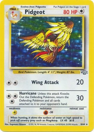 Pidgeot (8/64) [Jungla ilimitada] 