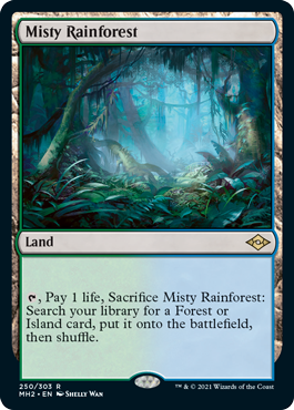 Bosque lluvioso brumoso [Modern Horizons 2] 