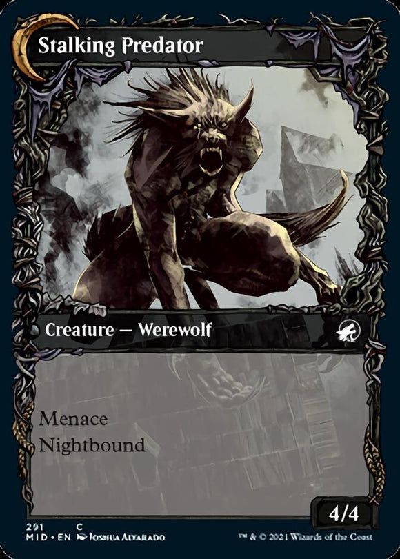 Viajero sombrío // Depredador acechador (Equinoccio de exhibición) [Innistrad: Midnight Hunt] 